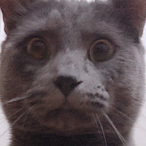 ngasmurf67's Avatar'