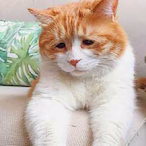 im maybe 67's Avatar'