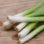 RawSpringOnion's Avatar'
