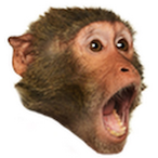 lIlIIllIIlIlI's Avatar'