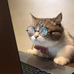 Miepu_Pro's Avatar'