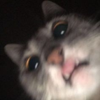 eEazyi's Avatar'