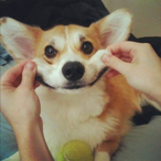 JackActually's Avatar