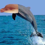 Master_yeeeee's Avatar'
