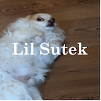 LilSutek's Avatar'