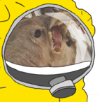 Lil_Kazimiiir's Avatar