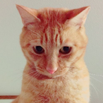 pENoZu.'s Avatar'