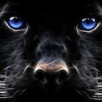 ImPanthr's Avatar'