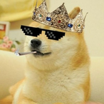 Wild_Doge's Avatar'