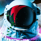 wild-ornament32's Avatar'