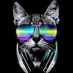 takinchances117's Avatar'