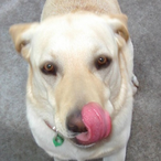 ItsAllEats.'s Avatar'