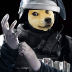 Doc_main_doge's Avatar'
