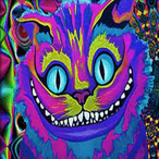 SireKitty's Avatar'