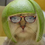ThePPdoctor's Avatar'