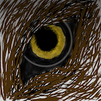 oculi-lupi's Avatar'