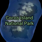 coryrocks910's Avatar'