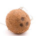 Midge1Coconut's Avatar'
