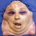 The_J-u-n-k-1-e's Avatar'