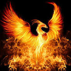 madsoccerman's Avatar'