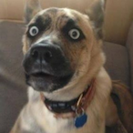 Ludopronto.'s Avatar'