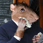 chillmango6421's Avatar'