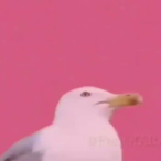 eggburt3000's Avatar'