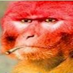 rousing_moat99's Avatar'