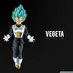 Show_us's Avatar'