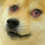 NUKEDOGE's Avatar'