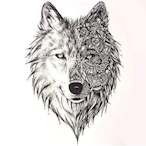 IllParasite6753's Avatar'