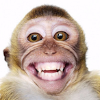 lHappy_Monkeyl's Avatar'