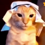 MikeAndHisCat's Avatar'