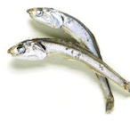 geasangg's Avatar'
