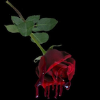 A1000LE100L3SH's Avatar'