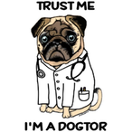 doctordogi's Avatar'