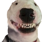 OKAY.......'s Avatar