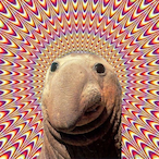 SmuDG3_XD's Avatar'