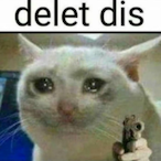 NANIDEFUQ's Avatar'