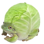dxukiyuh's Avatar'