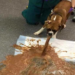 iLuvLatinas__'s Avatar'