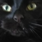 EPICxD3mon's Avatar'