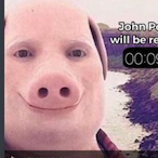 dirtyhobo6969's Avatar'