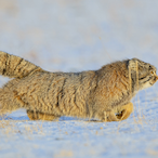 DeathMarine22's Avatar