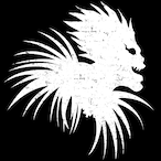 shini29gam1's Avatar'