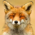 Lime_TMP's Avatar'