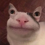 BranBrat921's Avatar'