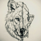 BLACKHOUND81's Avatar'