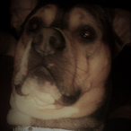 xXForever1337Xx's Avatar