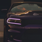 Reno334's Avatar'